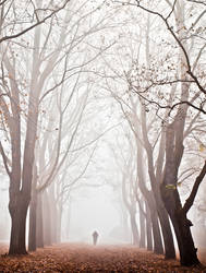 mist runner