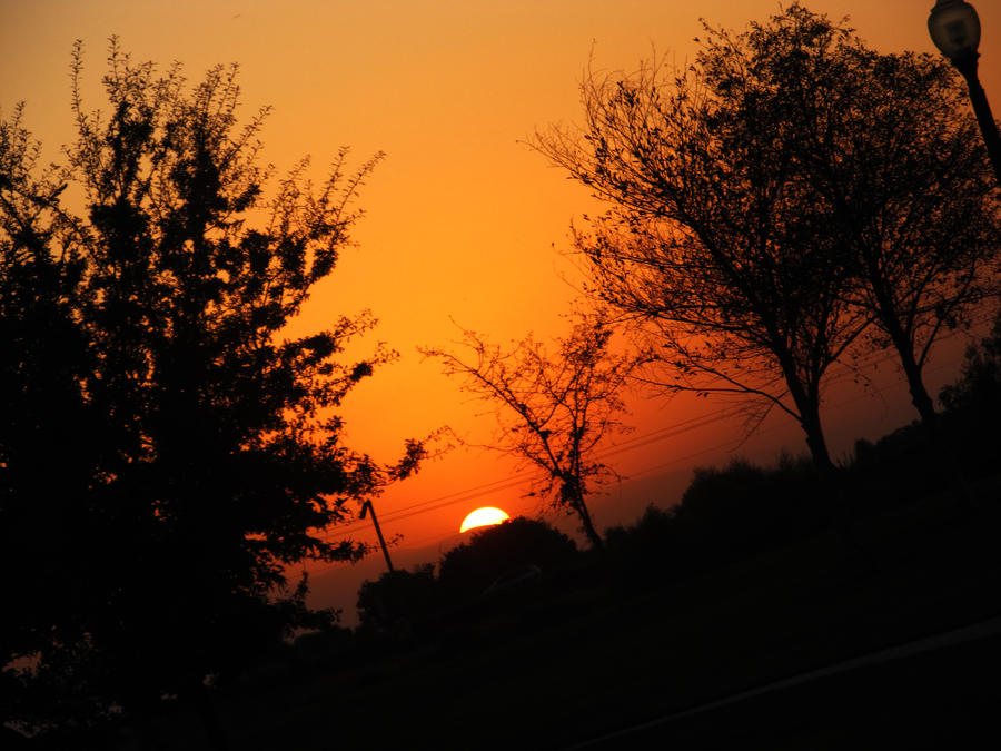 sunset at sir arthur