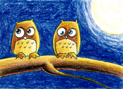 Owls