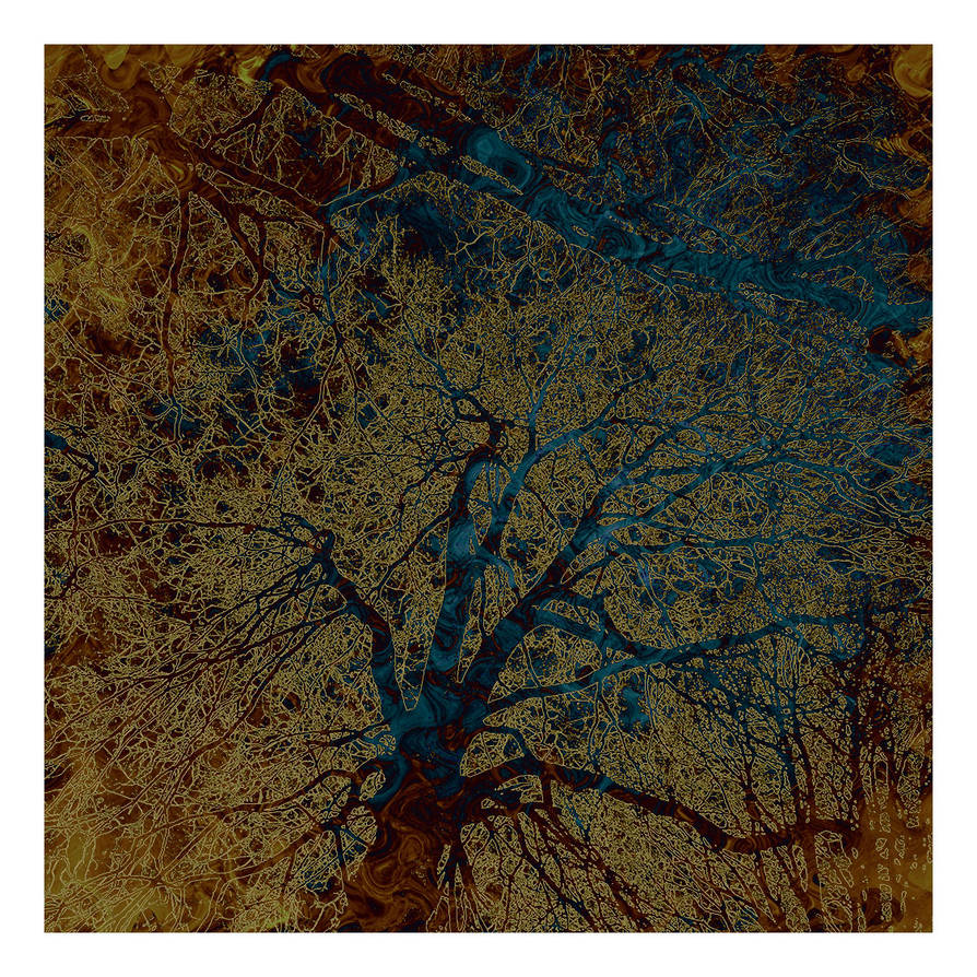 Neuronal tree by Aspartam on DeviantArt