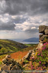 Mawddach Estuary 0128s by Haywood-Photography