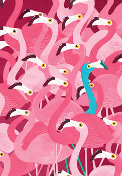 Flamingoes