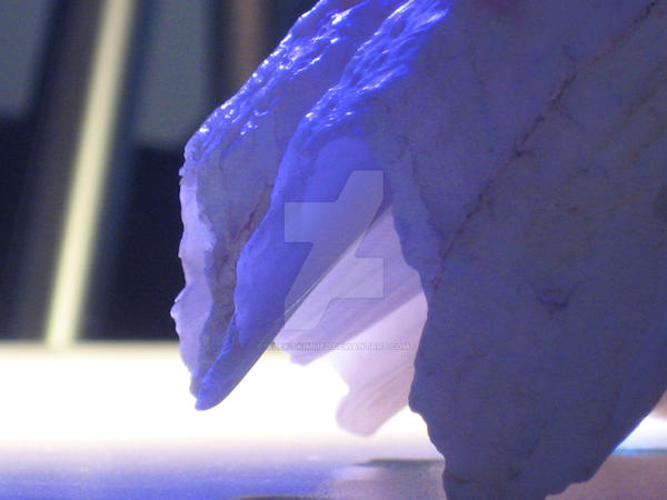 Mysterious Shell mysterious shell by alex-skimmed on DeviantArt