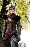 Dragon Age II - Witch of the Wilds