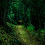 Enchanted Forest 4