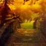 The Bridge