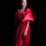 Woman in a red dress 8
