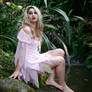 Fairy 8