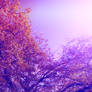 Purple tree stock