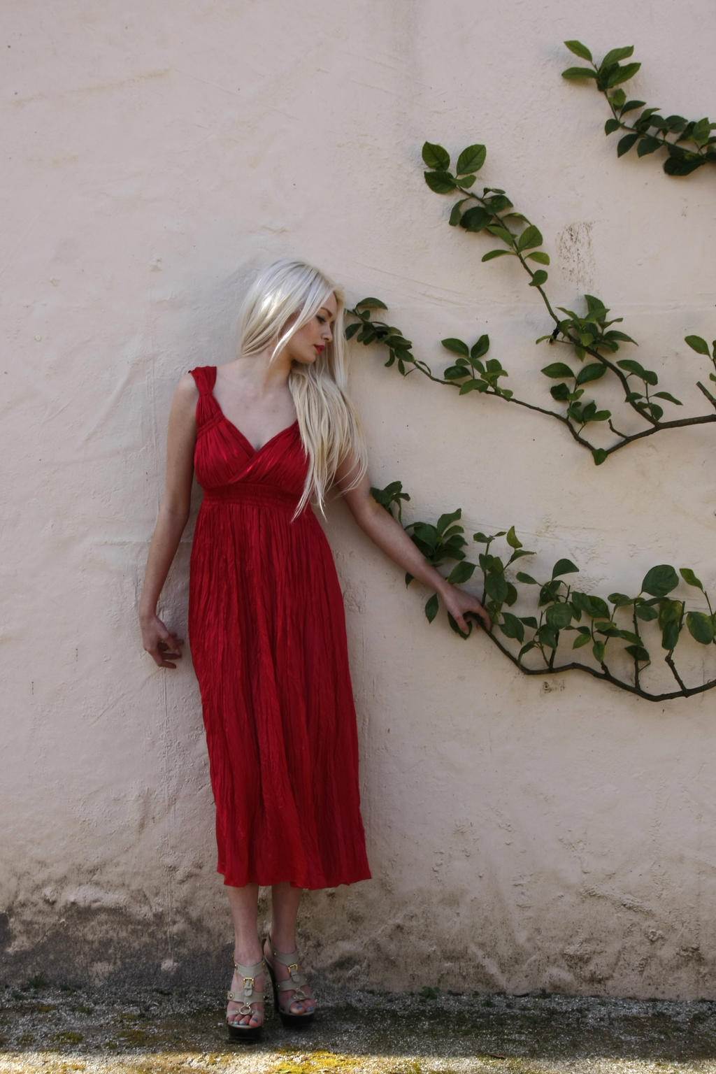 Georgia red dress 26 by CathleenTarawhiti