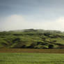 Foggy country morning New Zealand