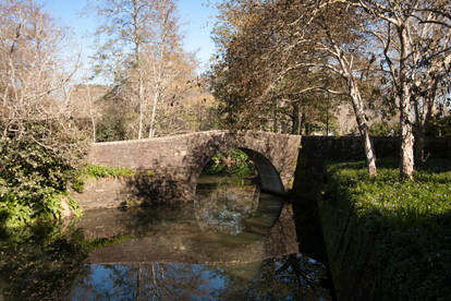 Hamilton gardens New Zealand