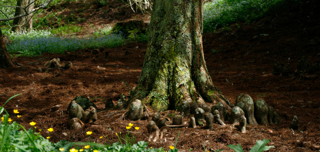 Knoby Tree Roots Knobby tree root stock by CathleenTarawhiti on DeviantArt