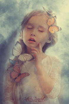Dreamland