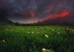 Grass and storm by CathleenTarawhiti