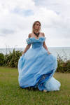 Aleida blue dress 13
