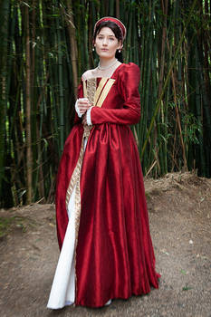 Tudor costume stock 29