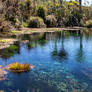 Te Waikoropupu Springs, New Zealand 1