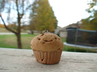 Chocolate chip cupcake