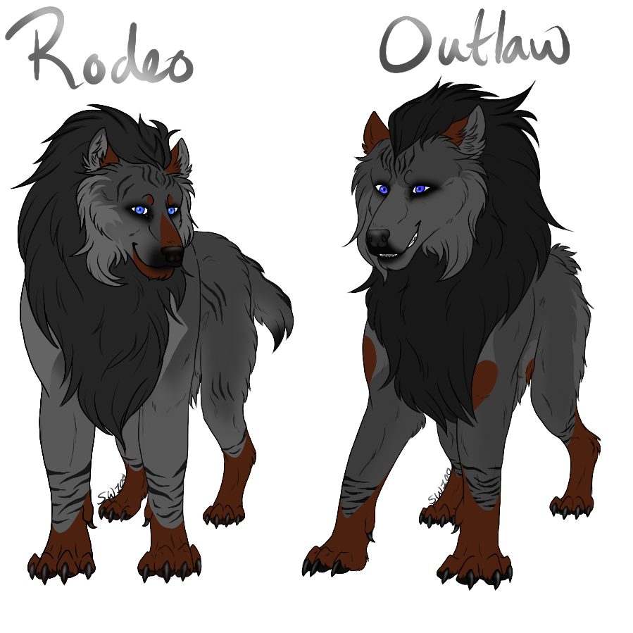 Rodeo and Outlaw by SapphireWolf100 on DeviantArt