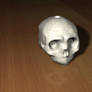 Skull 3D Model