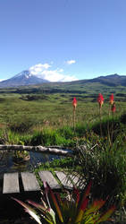 Cotopaxi