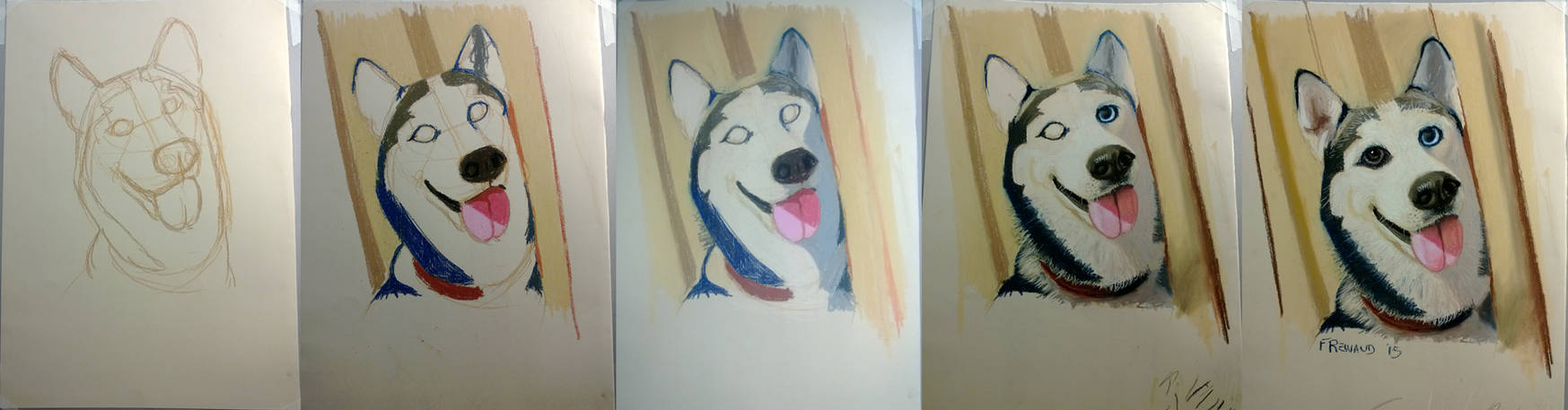 Steps painting husky with dry pastels