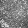 Cement Texture 01