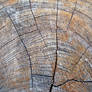 Wooden Texture 01