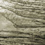 Wooden Texture 02