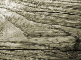 Wooden Texture 02