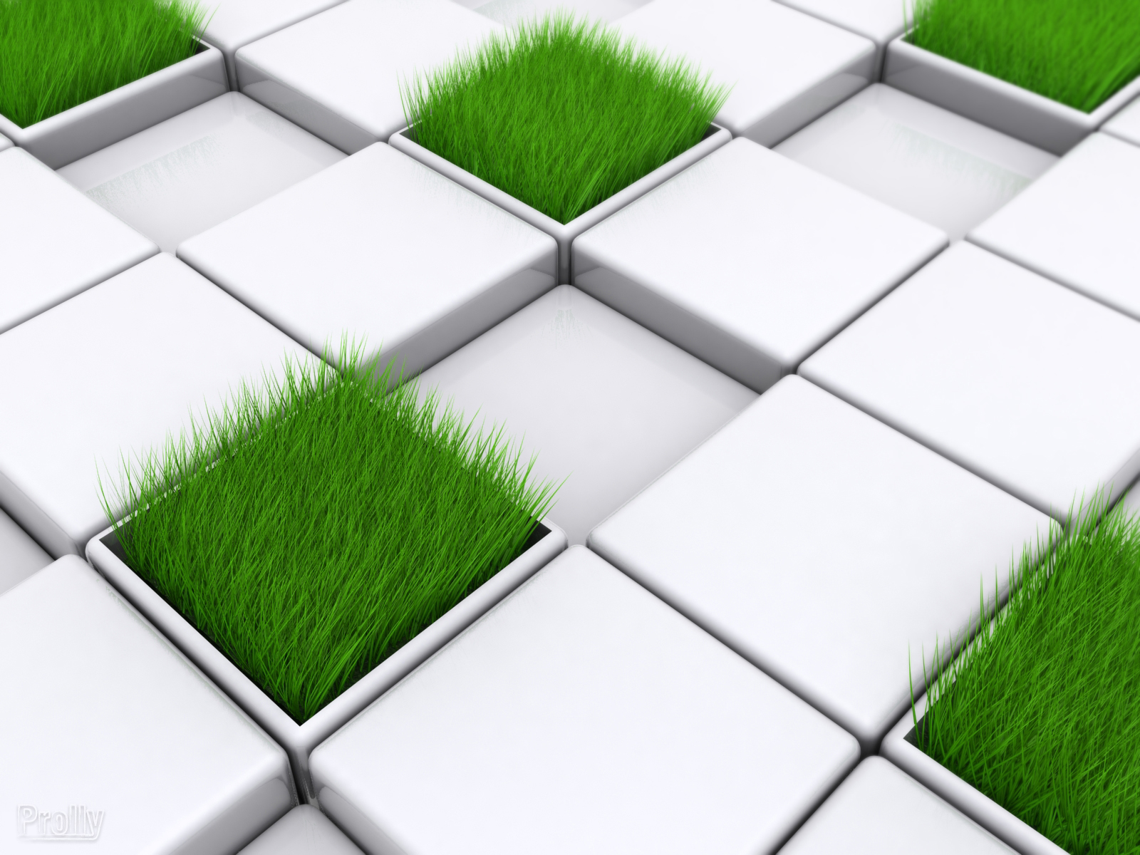 Cubic Lawn w_blur