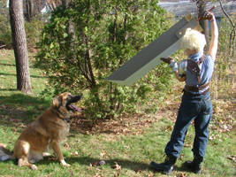 Cloud fighting a savage beast