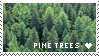 Pine trees stamp by Rainy-bleu