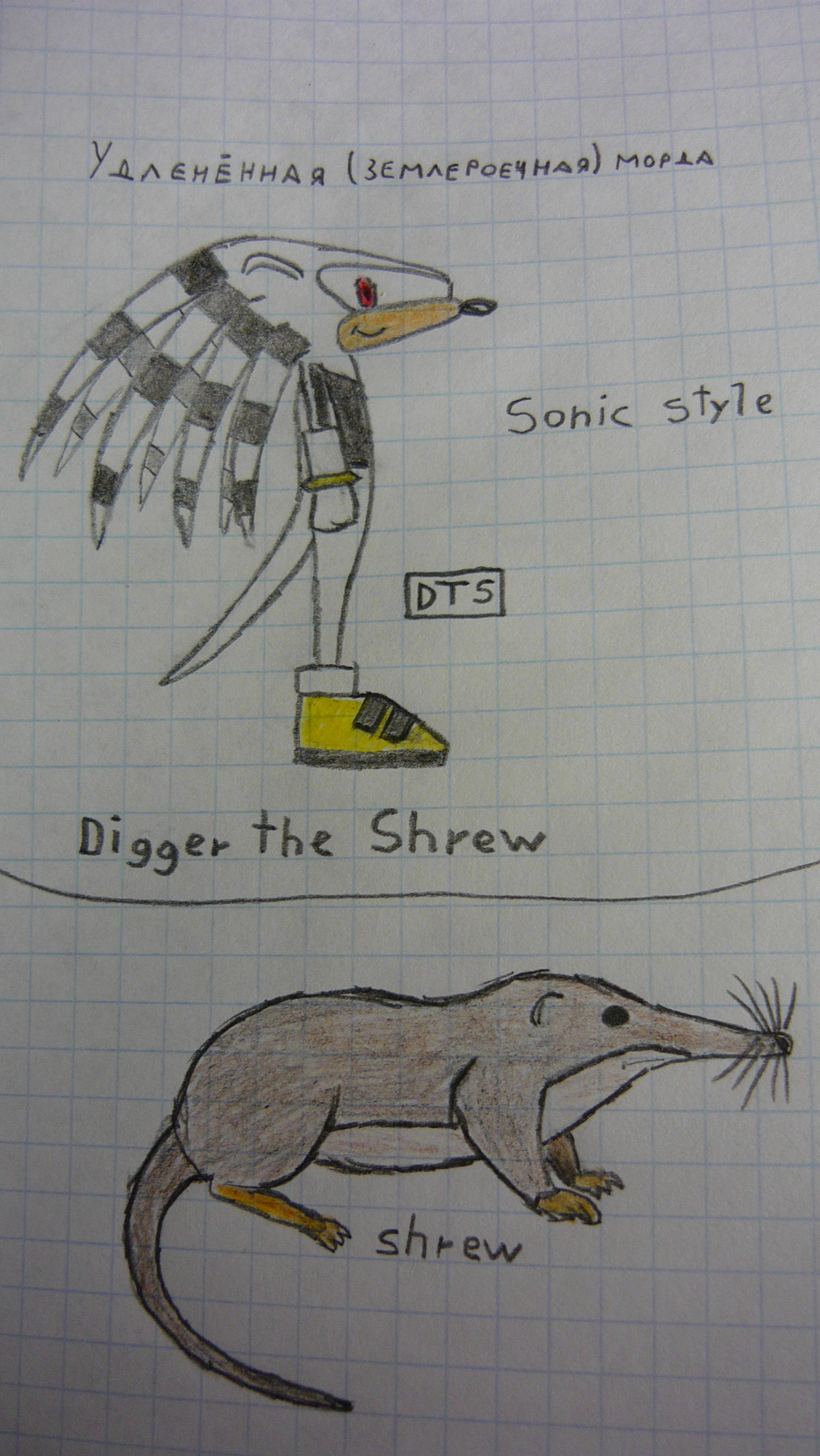 Digger the Shrew in Sonic style