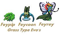 Grass Type Evalution02