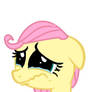 You made Fluttershy cry!