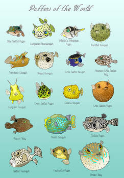 Puffers of The World