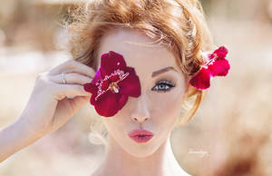 Orchid II