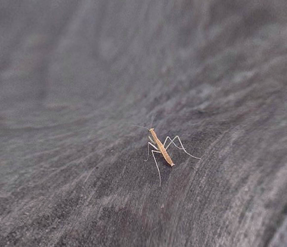 Vast by rlkrich on DeviantArt