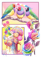 Rainbow Mood Board with Gouldian Finches