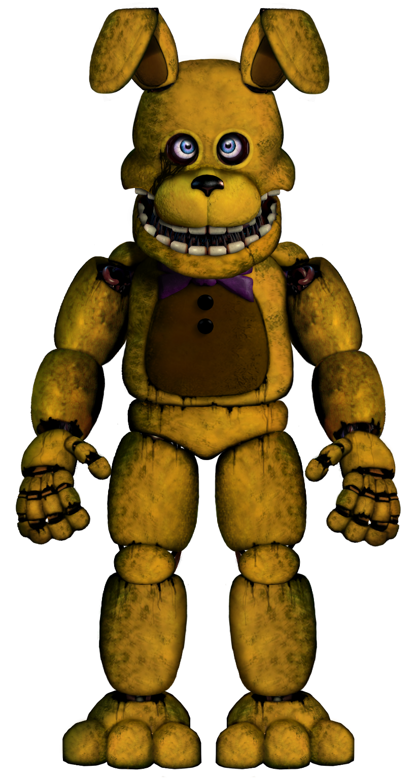 FNAF 2 Withered Chica full body by Enderziom2004 on DeviantArt