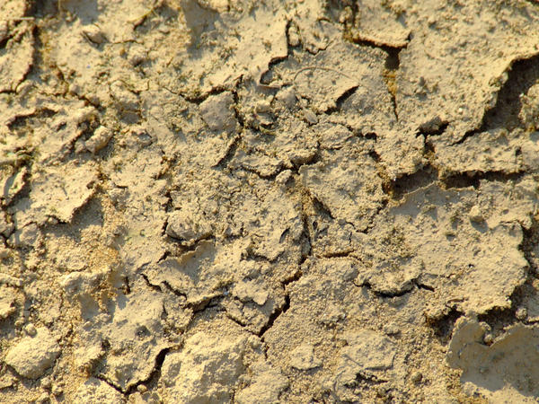 ground texture 2