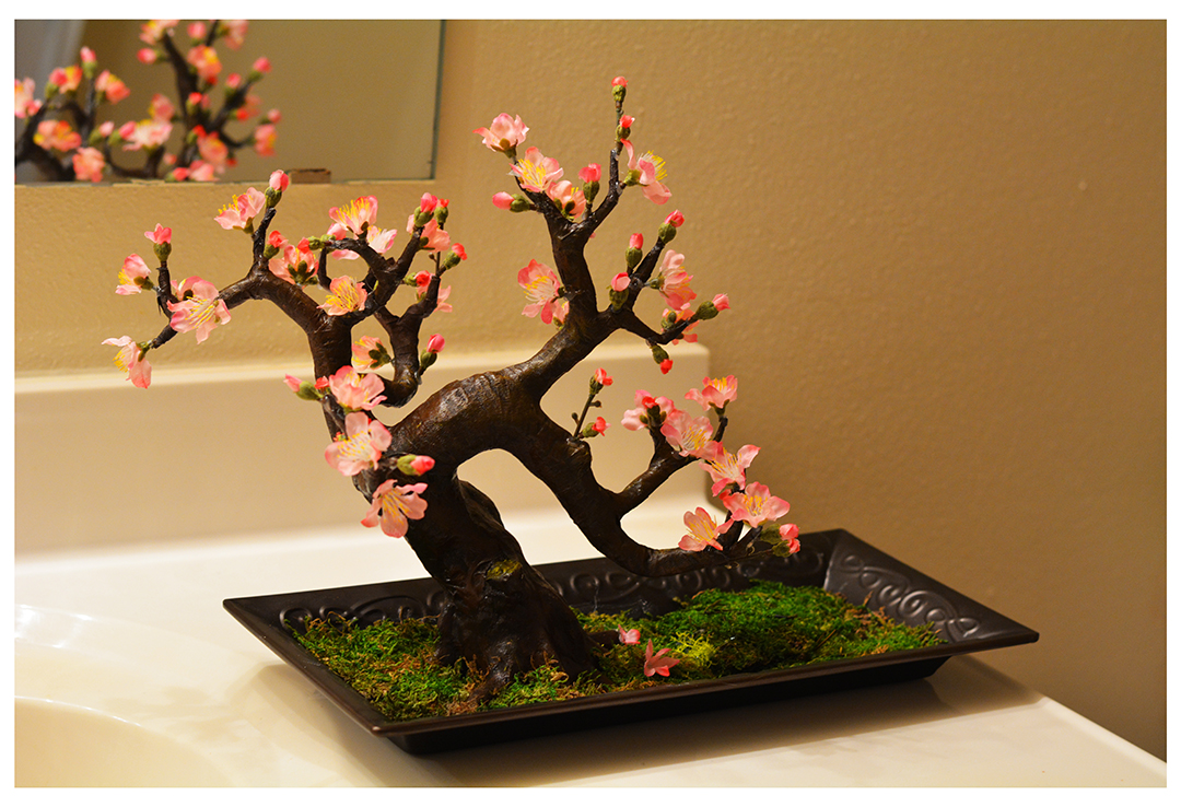 Bonsai and Cherry Blossom 3