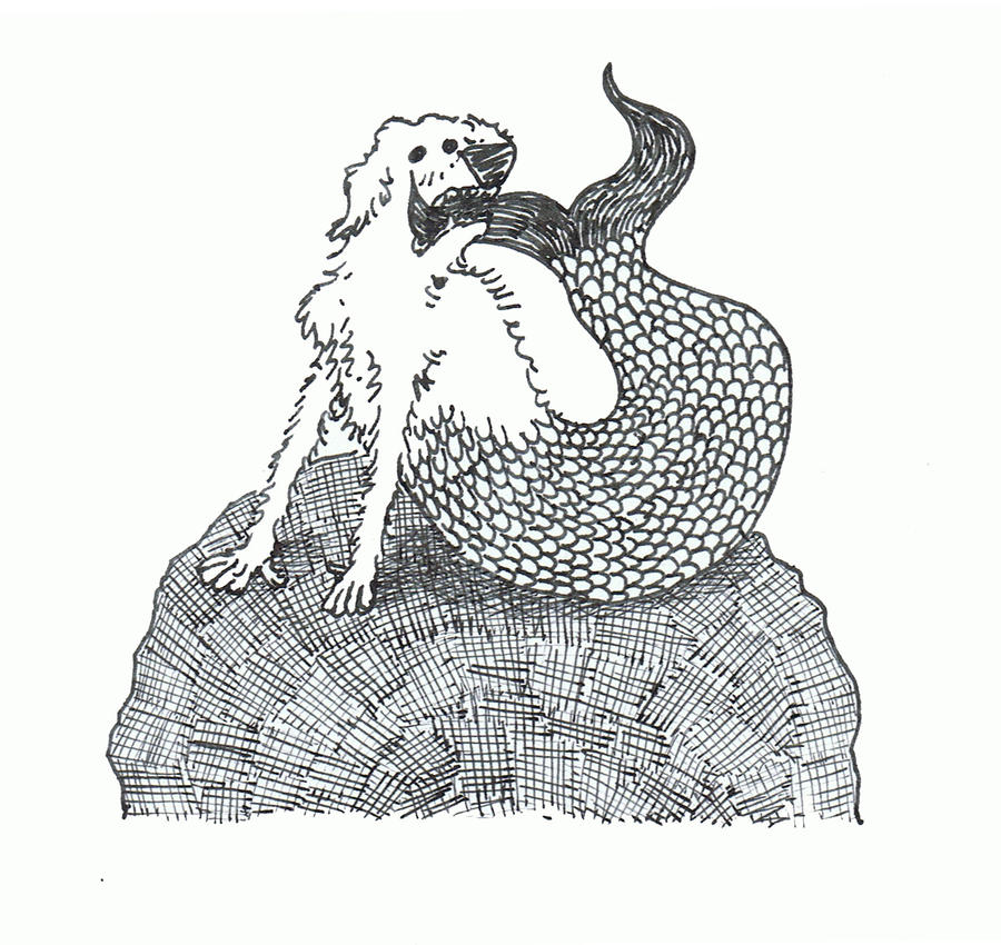 mer-dog by LikeBenjiReadingOvid on DeviantArt