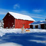 Dad's Country Barn