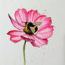 bumblebee on flower