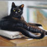 Black cat