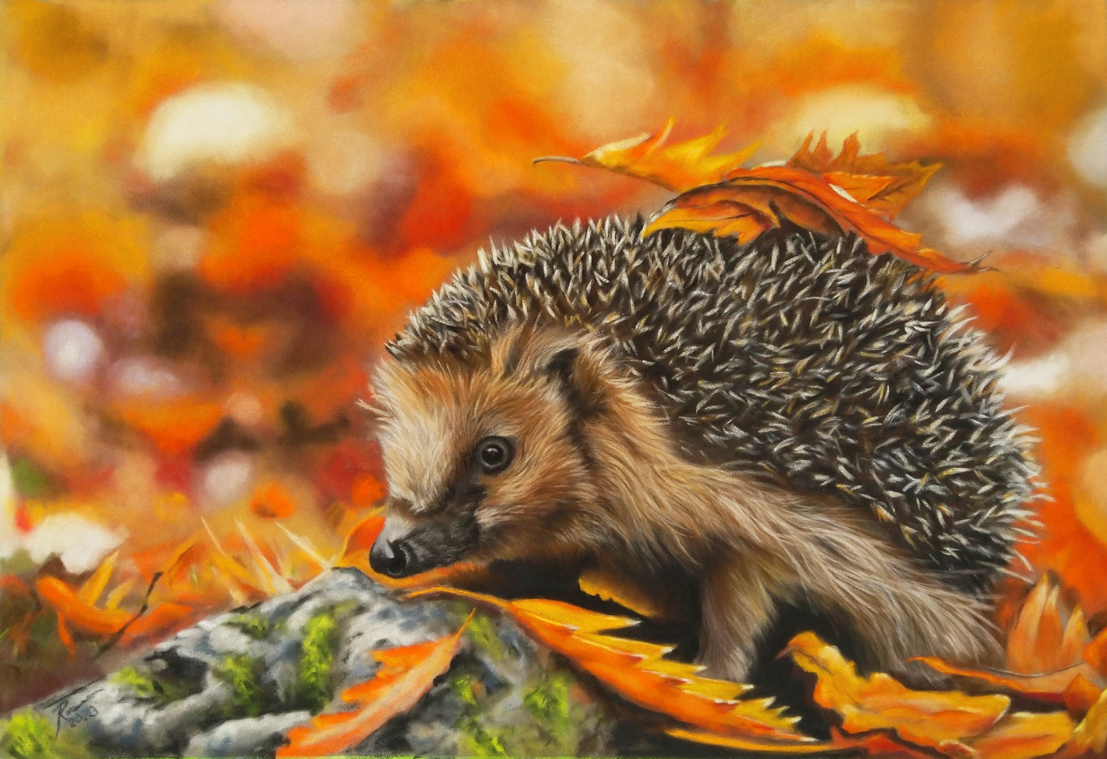 Hedgehog