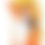 Peach the Fox